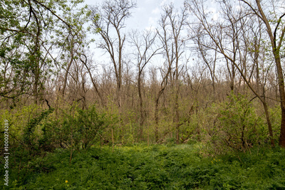 image to crop