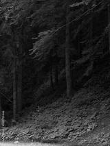 preview bw