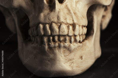 image to crop
