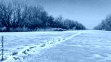 preview cold