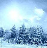 preview cold