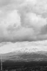 preview bw