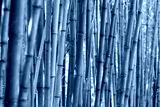 preview cold