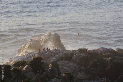 image to crop