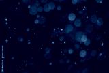 preview cold