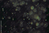 preview original