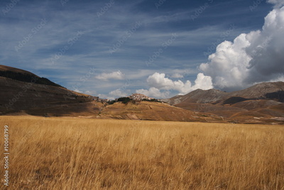 image to crop