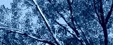 preview cold