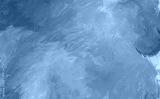 preview cold