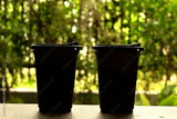 preview original