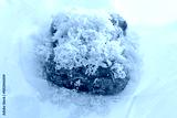 preview cold
