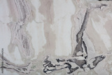 preview original