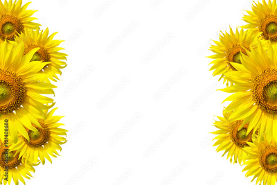 image to crop