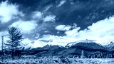 preview cold