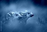 preview cold
