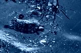 preview cold