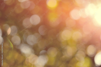 image to crop