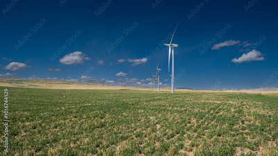 image to crop