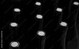 preview bw