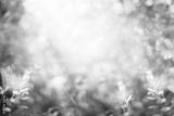 preview bw
