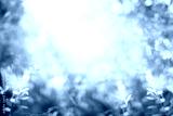 preview cold