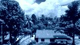 preview cold