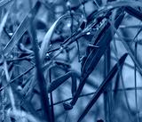 preview cold