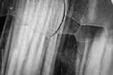 preview bw