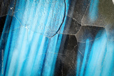 preview original