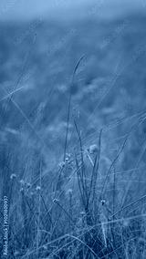 preview cold