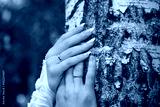 preview cold