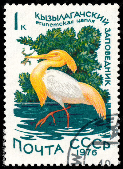 image to crop