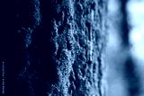 preview cold