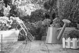 preview bw
