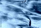 preview cold