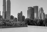 preview bw