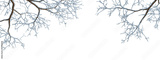 preview original