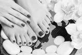 preview bw
