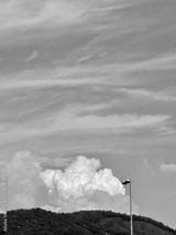 preview bw