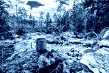 preview cold