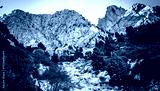 preview cold