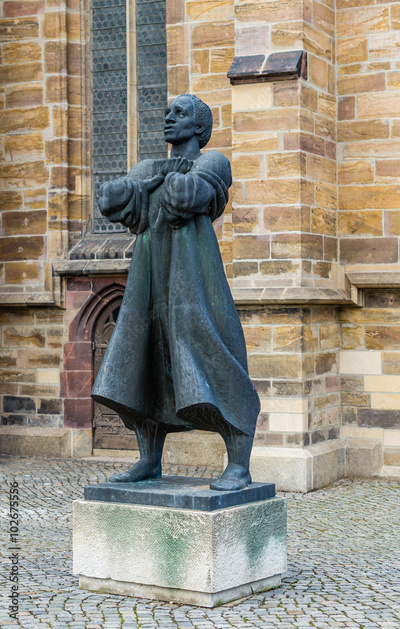 image to crop