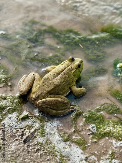 image to crop