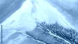 preview cold