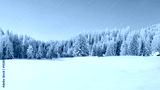 preview cold