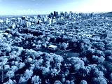 preview cold