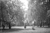 preview bw