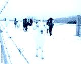 preview cold