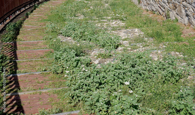 image to crop