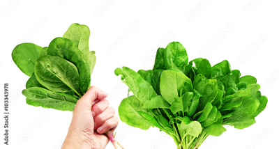 image to crop